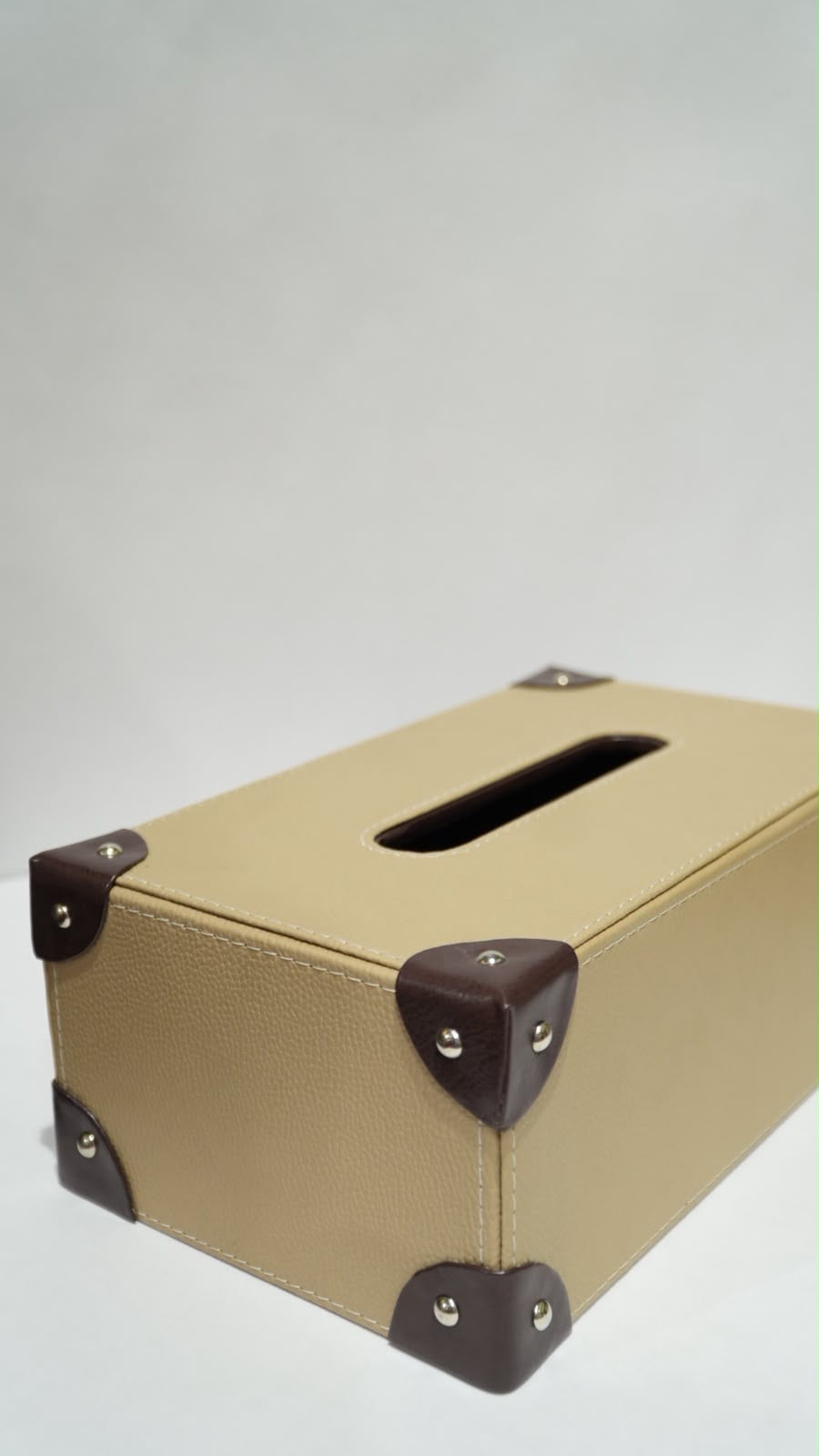 Leather double Tissue box