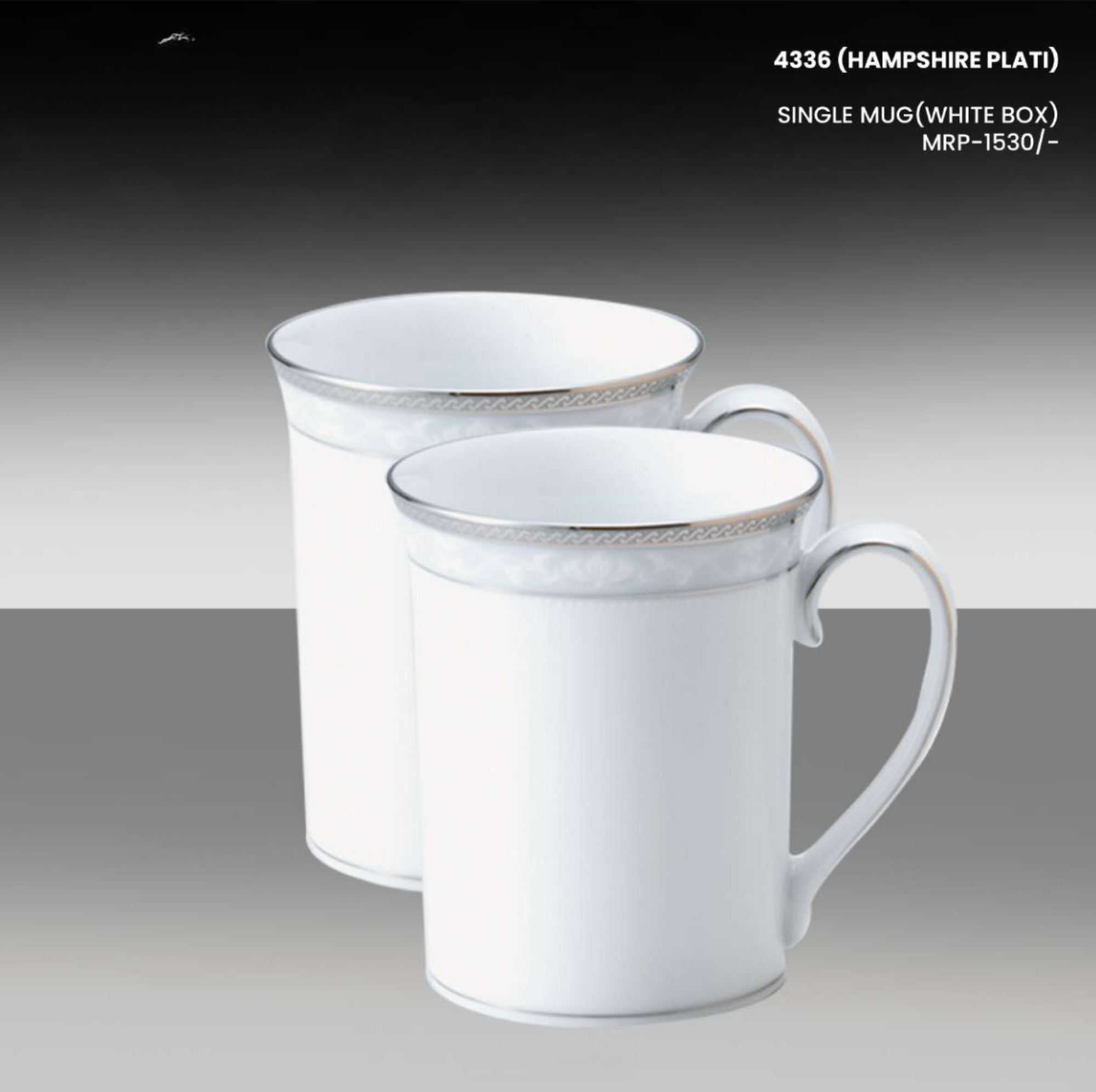 HAMPSHIRE PLATI SINGLE MUG(WHITE BOX)