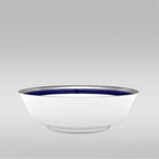Crestwood Cobalt Platinum 21pc Dinner Set with Gift Box
